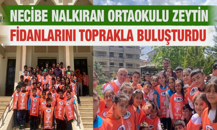 Zeytin Fidanlarını Toprakla Buluşturdular