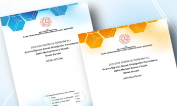 LGS Kapsamındaki Merkezî Sınava Yönelik Örnek Sorular Yayımlandı